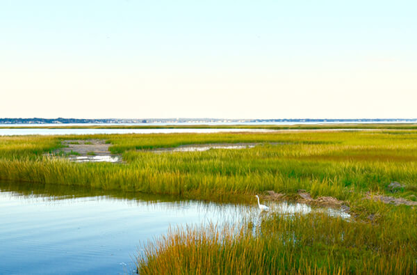 Coastal Care Partners - Serving Savannah & St Simons GA